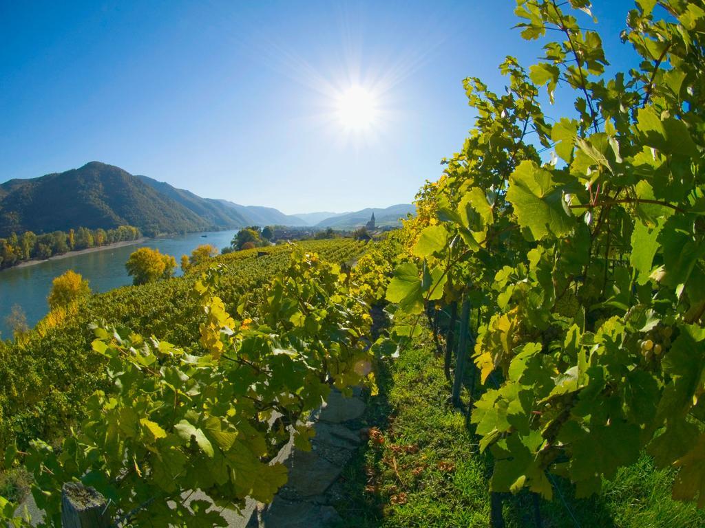 Gartenhotel & Weingut Pfeffel 4*